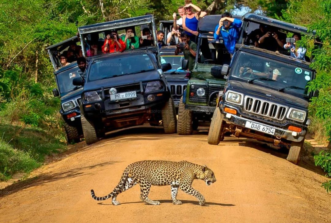 Wilpattu National Park