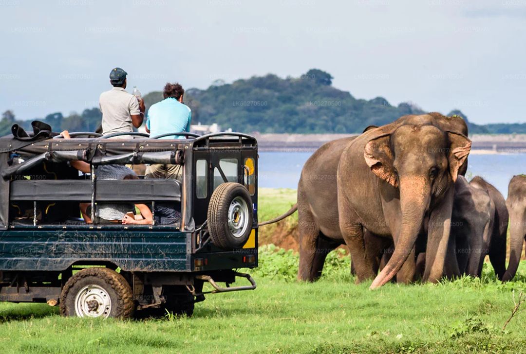 Yala National Park